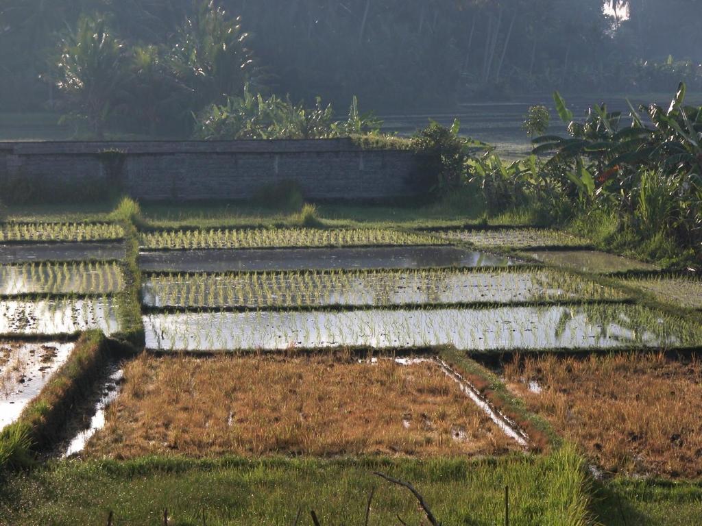 Villa Kawan Tanah Lot Zimmer foto